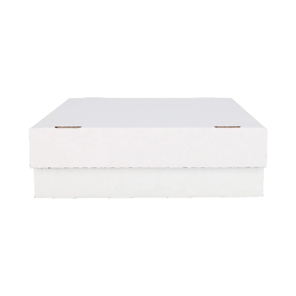 Monster Storage Box (3,200 CT.)